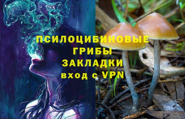 прущие крисы Баксан
